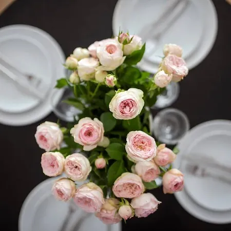 Apartman Easy Rent - Centrum Krakowskie Przedmiescie, 24h Check-in *